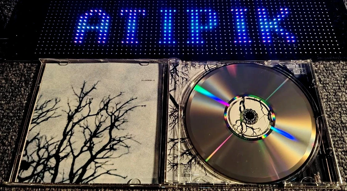 🌳 "I Muurini - Curagiu": ¡la Córcega como nunca antes la habías escuchado! – photo 4
